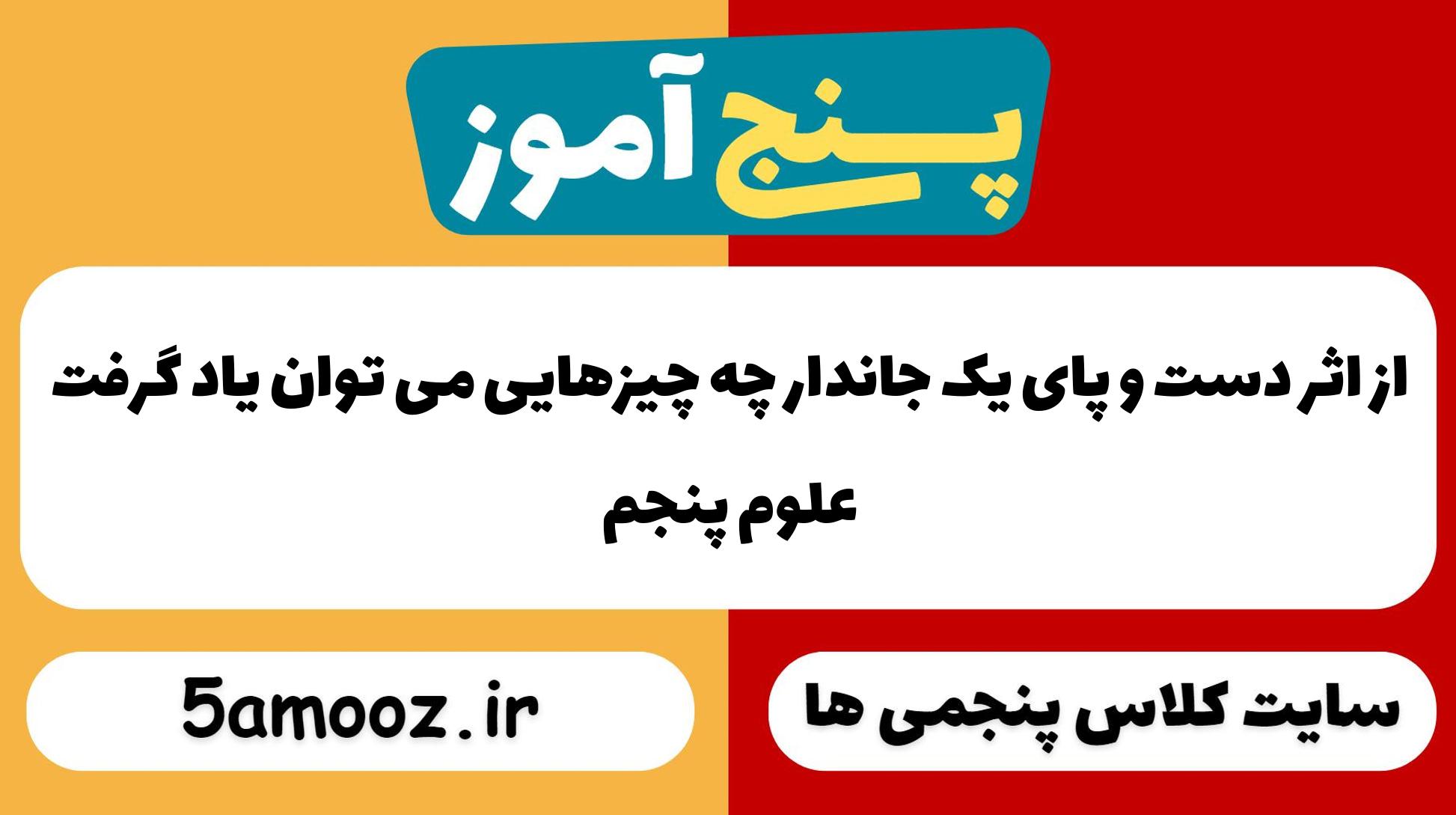 از اثر دست و پای یک جاندار چه چیزهایی می توان یاد گرفت