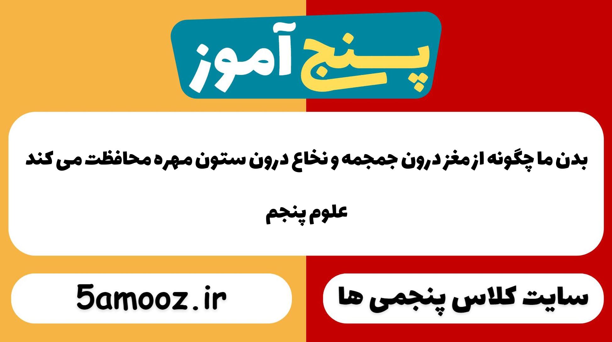 بدن ما چگونه از مغز درون جمجمه و نخاع درون ستون مهره محافظت می کند