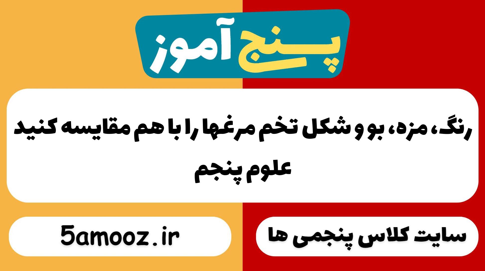 رنگ، مزه، بو و شکل تخم مرغها را با هم مقایسه کنید