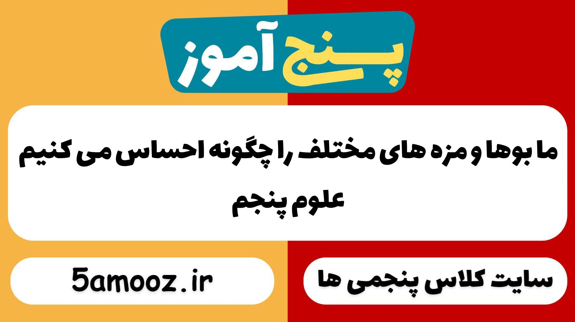 ما بوها و مزه های مختلف را چگونه احساس می کنیم