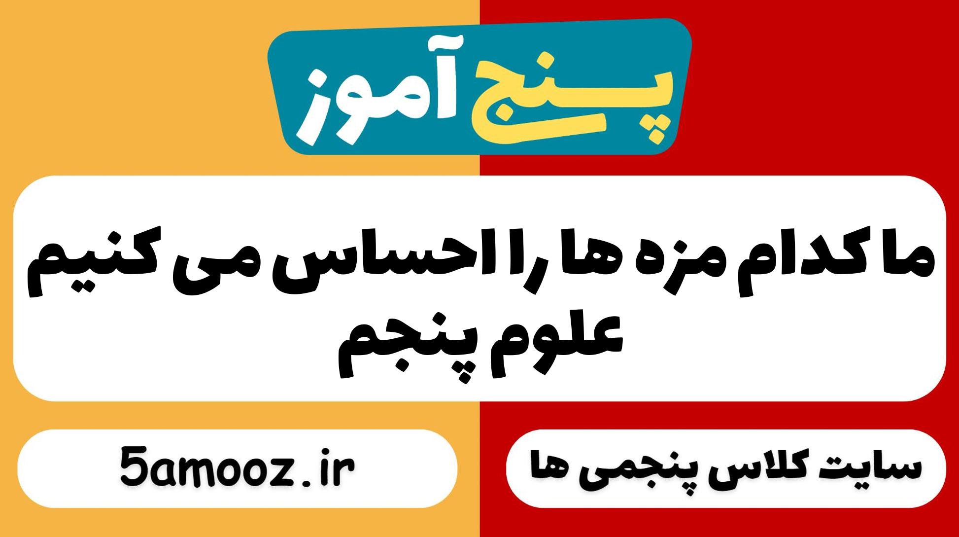 ما کدام مزه ها را احساس می کنیم