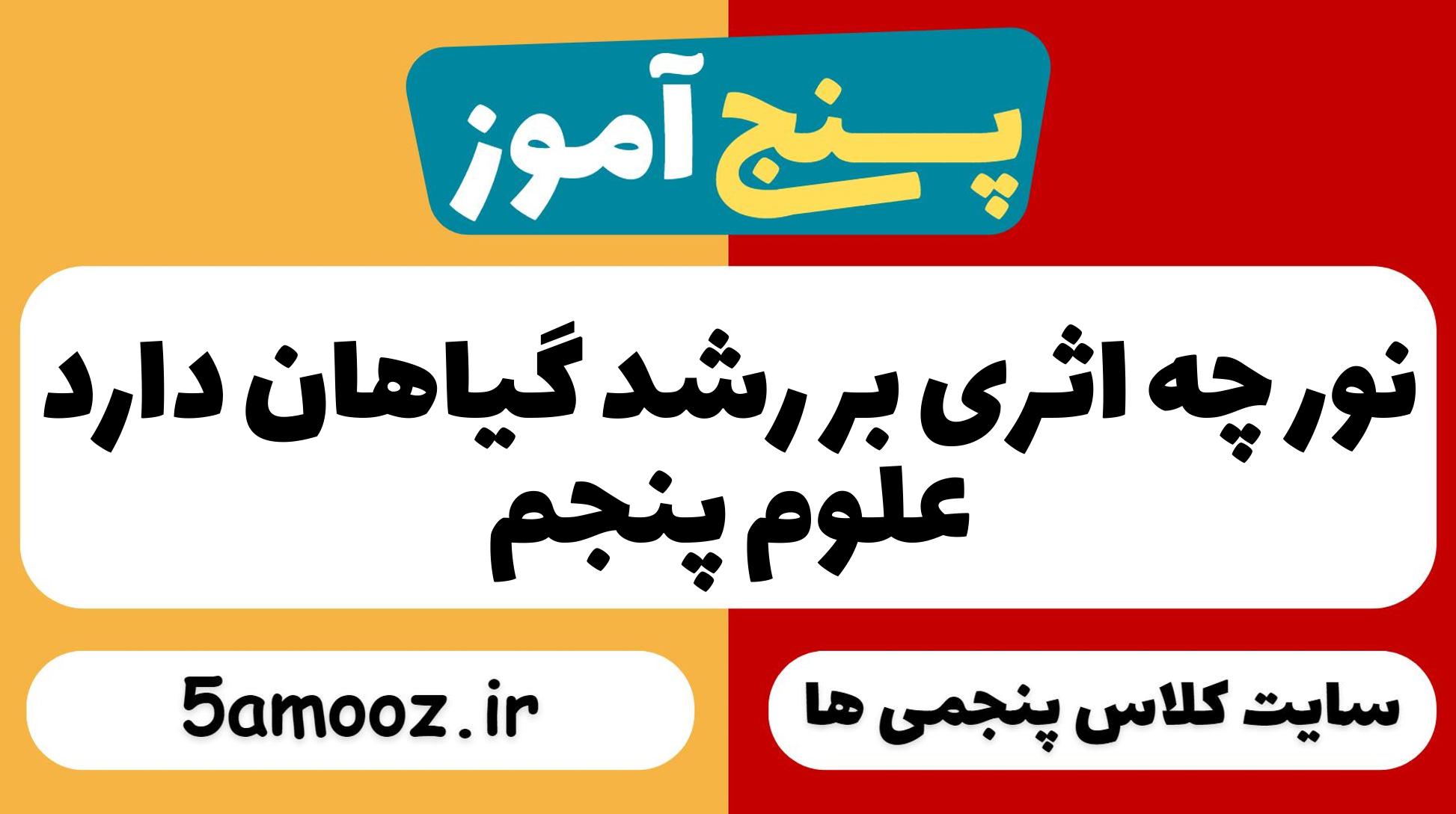 نور چه اثری بر رشد گیاهان دارد