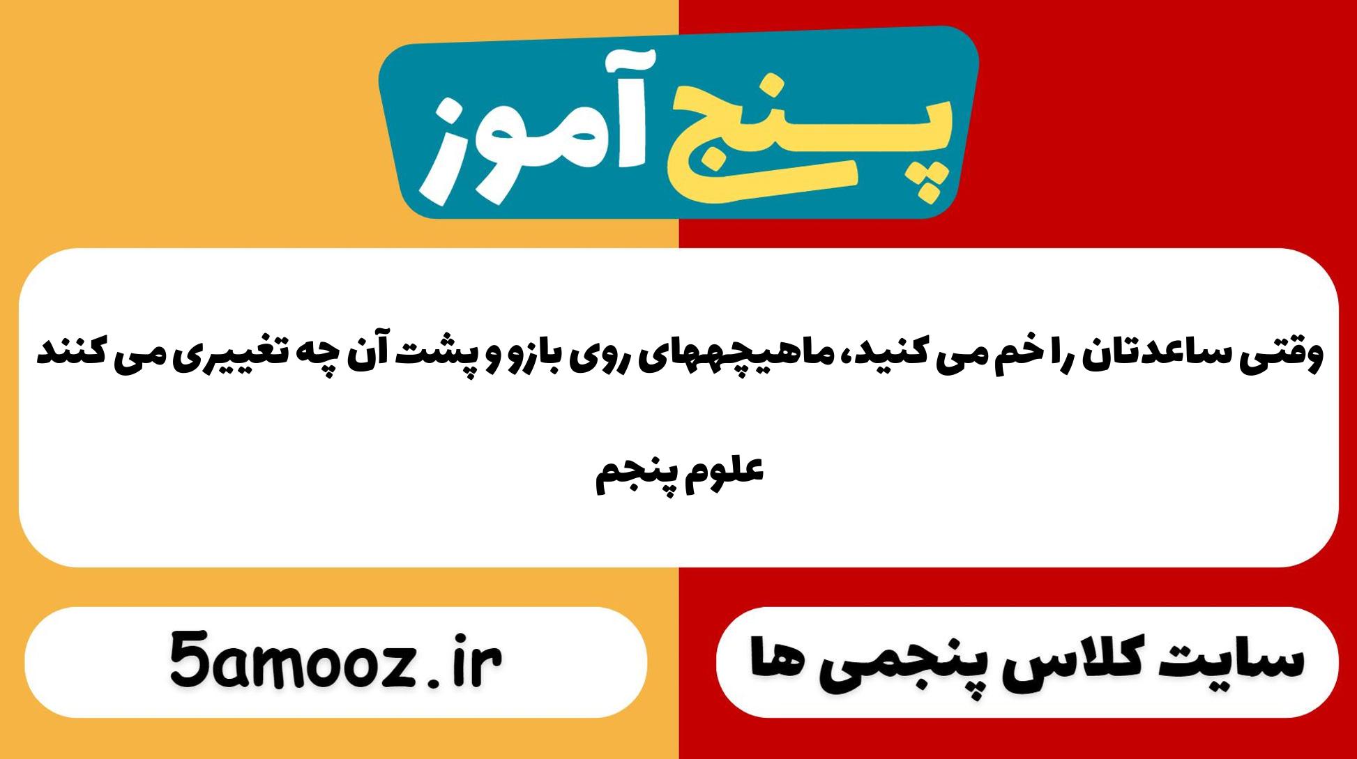 وقتی ساعدتان را خم می کنید، ماهیچههای روی بازو و پشت آن چه تغییری می کنند