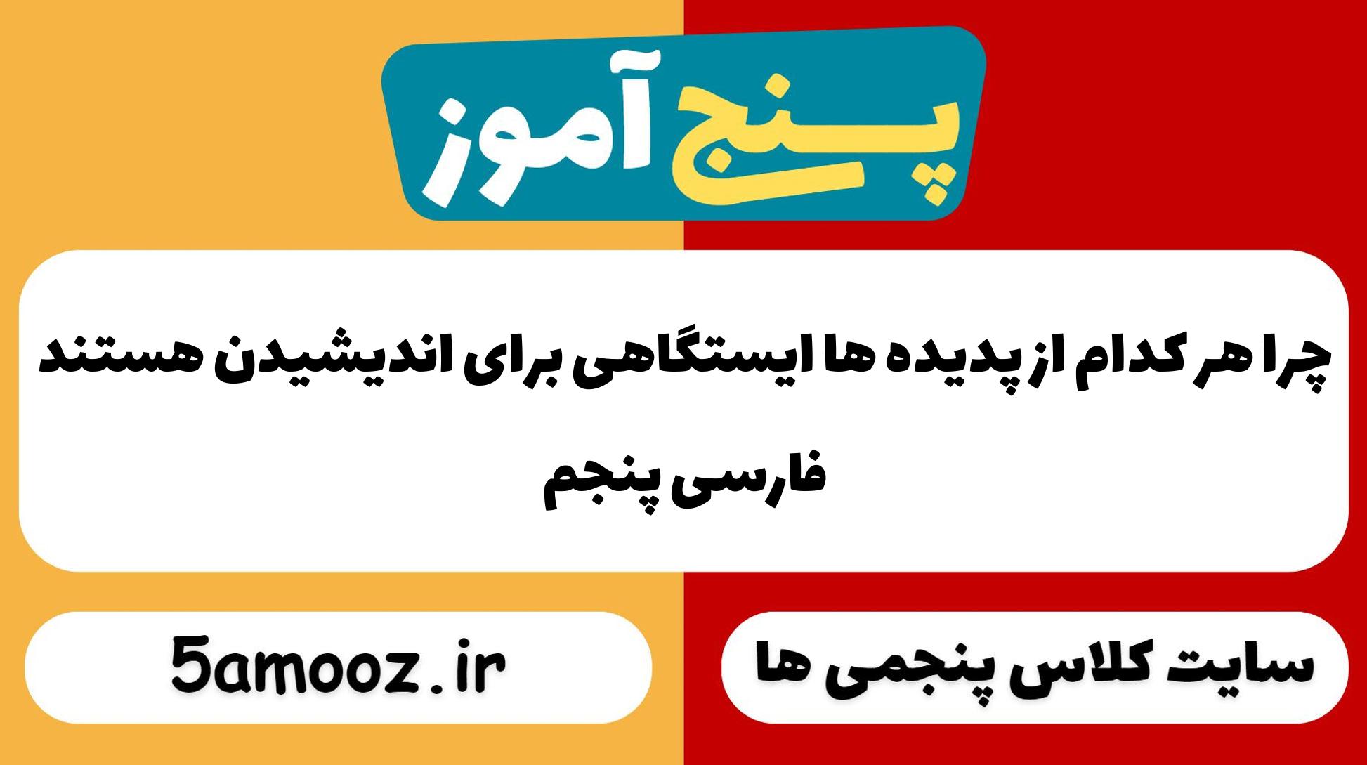 چرا هر کدام از پدیده ها ایستگاهی برای اندیشیدن هستند