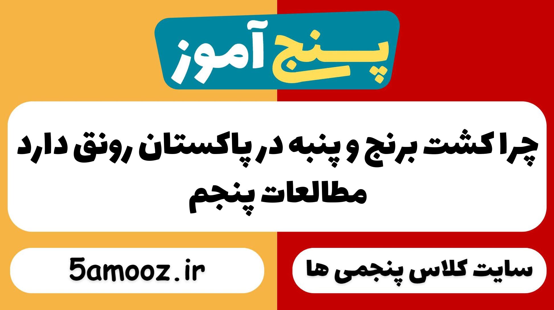 چرا کشت برنج و پنبه در پاکستان رونق دارد