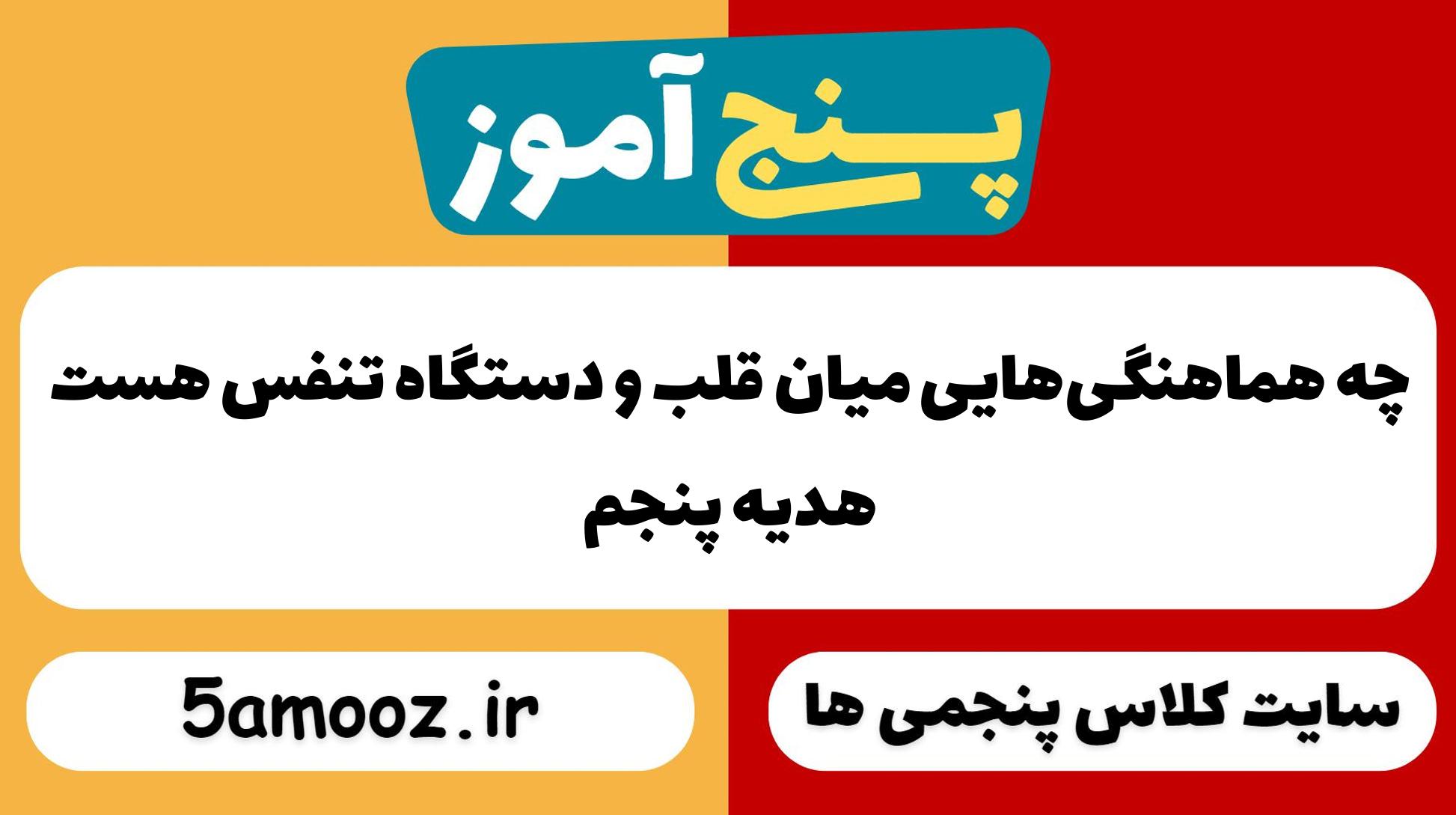 چه هماهنگی‌هایی میان قلب و دستگاه تنفّس هست_