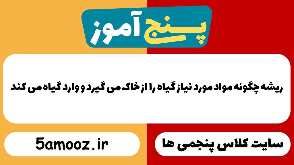 ریشه چگونه مواد مورد نیاز گیاه را از خاک می گیرد و وارد گیاه می کند