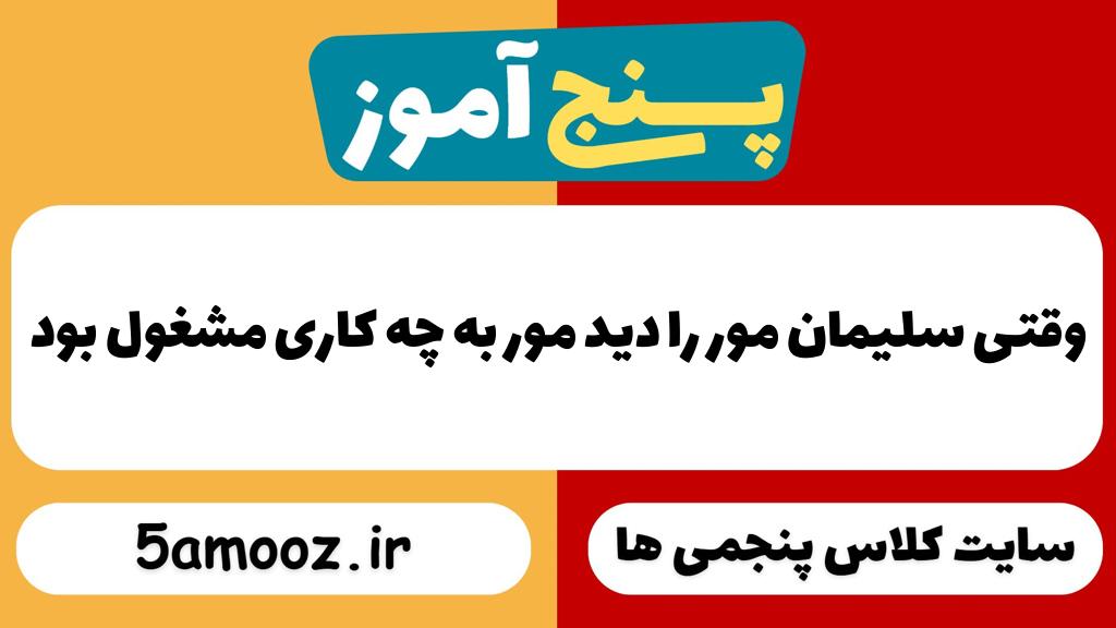 وقتی سلیمان مور را دید مور به چه کاری مشغول بود